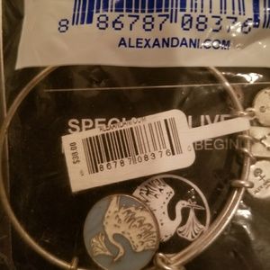 Alex n Ani special delivery bracelet
